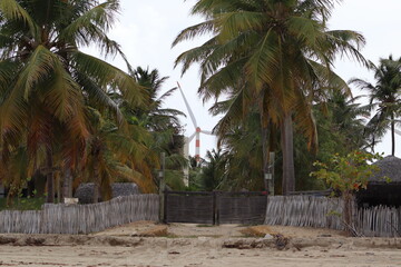 some palm trees and a Gate 