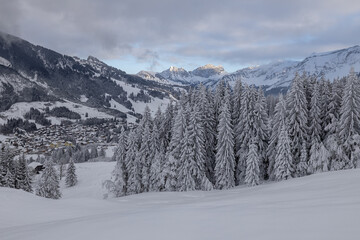 Sörenberg (Skigebiet in Flühli)