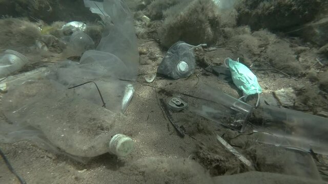 Dead Greater weever fish (Trachinus draco) hitting trapped in plastic bag lies inside plastic bag on the seabed among the medical face mask, plastic and other garbage. Plastic pollution of Ocean.  
