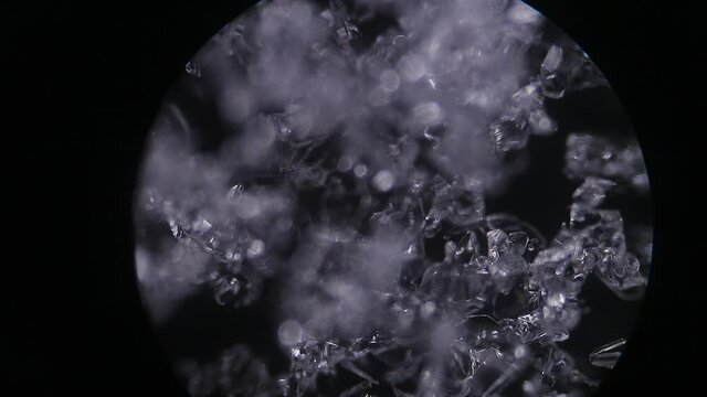 Snow crystals light games with reflections, sparkles, sparkling, flickering, flashing. Microscopic view. Smooth Focus and defocus 4k video. Awesome micro world under microscope