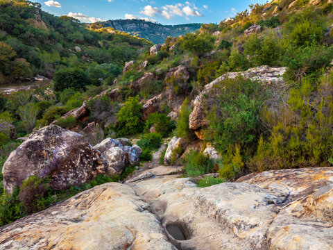 Hiking way in the natural park of cork oaks beside the river Hozgarganta in Jimena, Andalusia, Spain