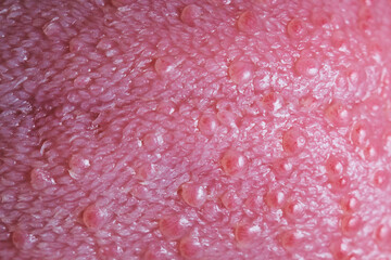 Tongue surface macro shot © amixstudio