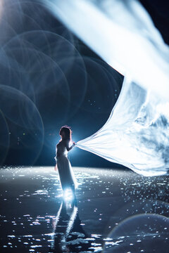 夏夜の幻想