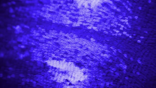Butterfly Wing at Microscopic Magnification. Super bright colors with amazing small particles. Scales and Flakes. Blue and Green pseudo colors