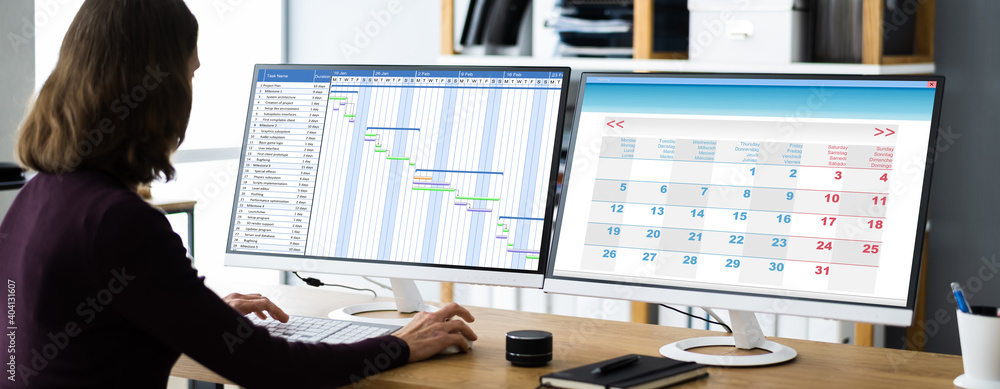Poster businesswoman working on gantt chart using computer