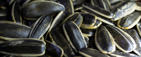 
Large seeds close-up. A joy for the rodent.