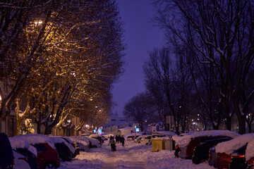 The storm Filomena leaves a historical snowfall in the streets of the Las Águilas neighborhood in Madrid. Spain