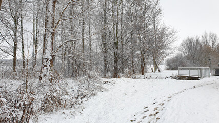 Soothing white winter landscape while snowing, concept of christmas and winter hiking