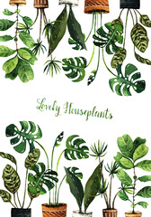 Watercolor illustration, lovely houseplants, postcard for you, white background, handmade