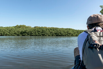 Tourist taking a boat ride through the mangroves of the Colombian Caribbean coast.