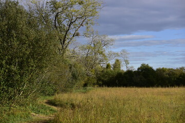 Mettnauspitze bei Radolfzell am Bodensee, Halbinsel Mettnau, Naturschutzgebiet, Vogelschutzgebiet