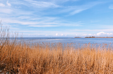 Fototapeta na wymiar Flock of gulls on Ijsselmeer