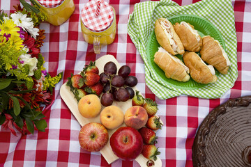 picnic in the garden