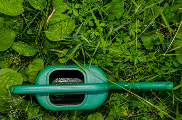 Green watering can in the grass. Photo of garden tools in the garden