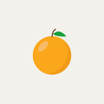Orange fruit vector art and graphics