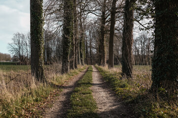 Hike in the countryside of the Achterhoek Netherlands
