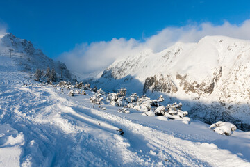 Fototapeta na wymiar ski trail in winter resort in Slovakia