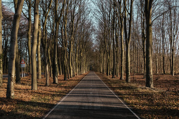 Hike in the countryside of the Achterhoek Netherlands