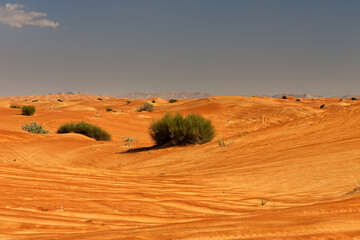 desert landscape in the United Arab Emirates