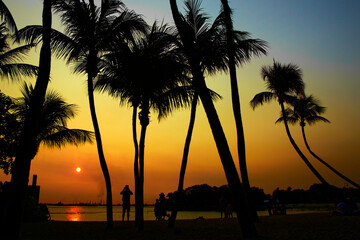 Palawan beach silhouette, southest point of Asia, on Sentosa island