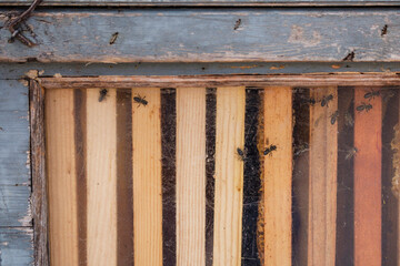 honeycomb, weekly market, Sineu, Mallorca, Balearic Islands, Spain