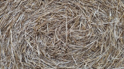 texture of straw