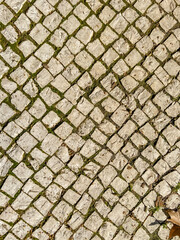 portuguese typical pavement. .background with texture