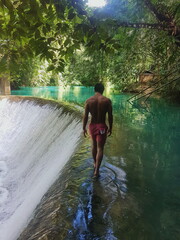 Jungle. Cebu, Philipins