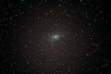 Triangulum Galaxy/ Dreiecks Galaxy 