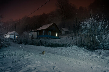 night village street in winter. cat on a snowy road in the village
