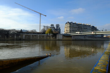 Notre Dame de Paris during reconstruction work on the 2nd january 2021.