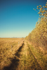 road in the field