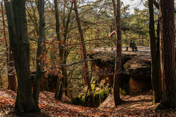 Msenske Poklicky unique sandstone table rock formation, Kokorin Protected landscape Area, forest in sunny day, blue footpath Drouzkovska cesta, hiking in Kokorinsko, Czech Republic
