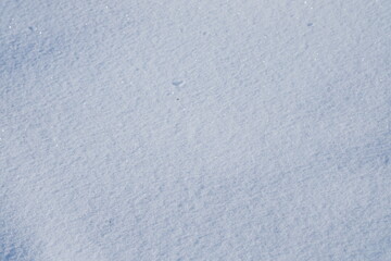 雪に覆われた大地