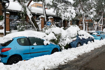tree branches fallen on two cars. The weight of the snow throws branches on the street cars. The storm Filomena leaves half a meter of snow in Madrid