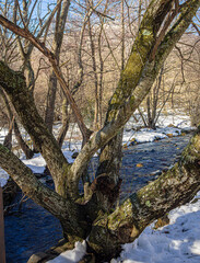 Paisaje invernal en Santa Fe del Montseny , Cataluña, España.