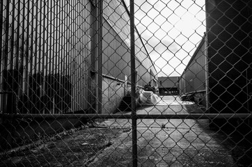 behind the fence