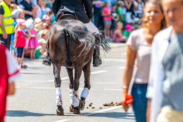 Pferdemarkt_Ludwigsburg_2018