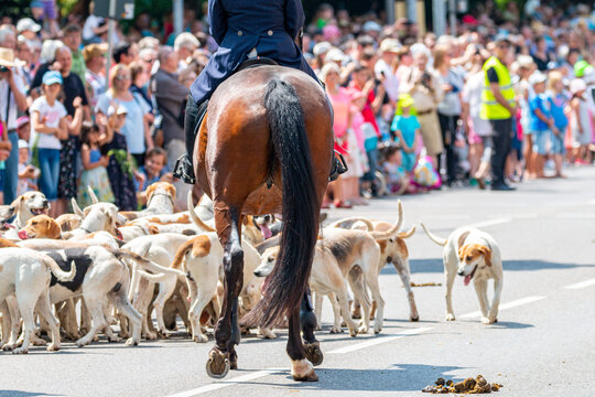 Pferdemarkt_Ludwigsburg_2018