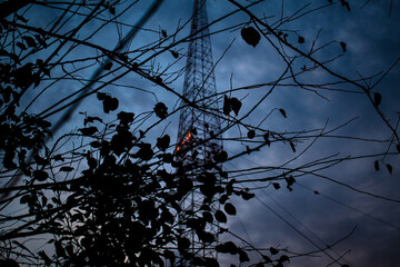 Radio Tower Branches