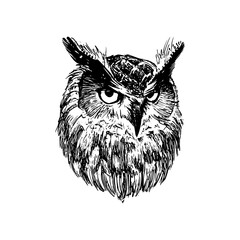 Owl head. Graphic ink drawing for printing, vintage style. Symbol of knowledge - obrazy, fototapety, plakaty