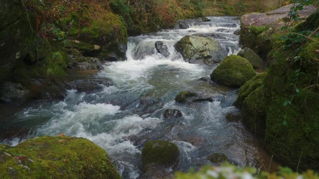Wasserfall kleine Kyll Eifel