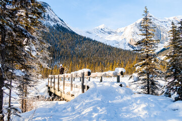 Young woman admiring the winter landscape at Emerald Lake, in Yoho National park, Canada