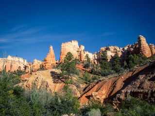 Fototapeta na wymiar hoodoos of Bryce Canyon in Utah