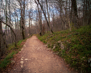 walking path in  Plitvice Lakes National Park