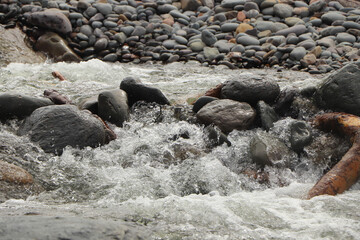 Heddon river flowing through the valley and over rocky ground