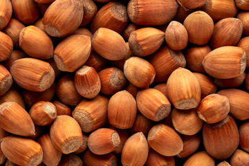 Background from hazelnuts.