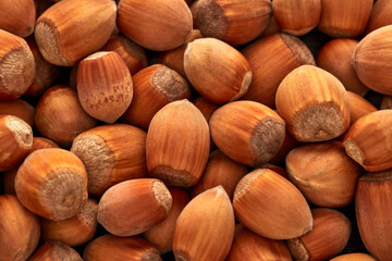 Background from hazelnuts.