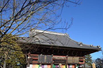 Fototapeta na wymiar 成田山新勝寺の光明堂