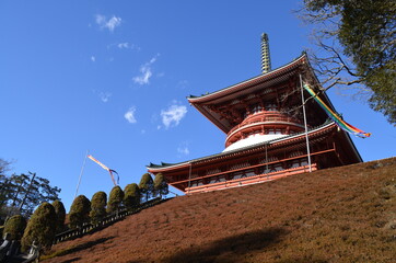 Fototapeta na wymiar 成田山新勝寺の平和の大塔